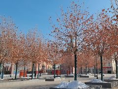 -泰达航母主题公园