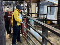 -宫城藏王狐狸村