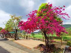 -比顿咖啡(和顺古镇店)