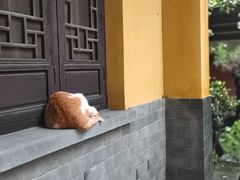 -灵谷景区