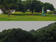 -红花山公园