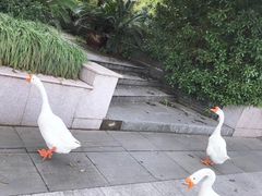 -浙江农林大学(东湖校区)