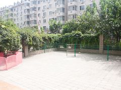 课外活动-优缇多格专业宠物美容师培训学校