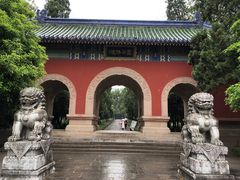 -灵谷景区