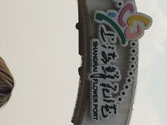 上海鲜花港-上海鲜花港