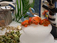 -合肥皇冠假日酒店·菲亚斯特自助餐厅(黄山路店)
