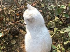 -天津医科大学学生食堂