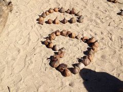 -北门饭店(三香路店)