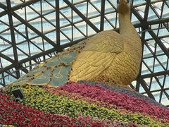 -花之城