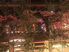 -蓝鲸湾汤泉(包河店)