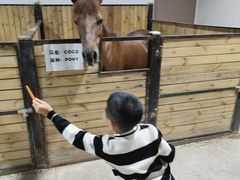 -李振强马术运动推广中心(南城店)