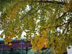 -中国农业博物馆