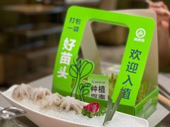 -海底捞火锅(金融街万达店)