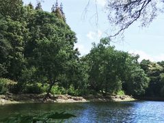 -上海共青森林公园