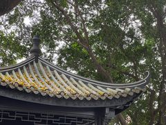 -荔湾湖公园