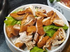 -大龙燚火锅(春熙店)