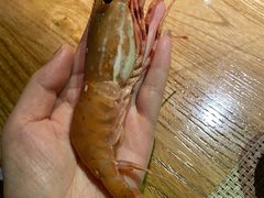 牡丹虾-蟹将军·松叶蟹和牛日料放题自助(K11店)