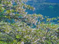 -舒家湾天主教堂