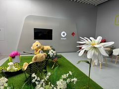 -上海浦东smart汽车全功能店(金桥店)