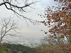 -灵顺寺