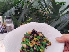 -大树餐厅(环球港店)