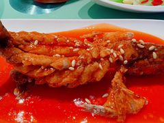 松鼠桂鱼-八分饱·西津会(西津渡店)