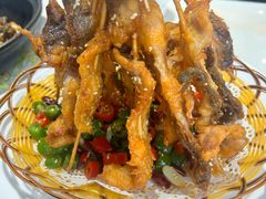 -港升鱼师傅·中山脆肉鲩