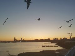 -星海广场