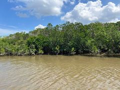 -东寨港红树林旅游区