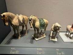 -贵州省博物馆(新馆)