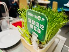 -海底捞火锅(万丰桥店)