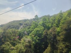 -青城山