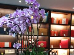 -荷风细雨·中国茶宴(碧云店)