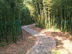 -同里国家湿地公园