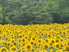 -北京奥林匹克公园