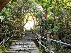 -东莞观音山旅游风景区