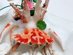 -皇朝尊会(龙之梦大酒店)