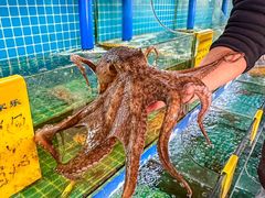 -坛南湾阿强农家乐.海鲜大排档老字号(福州地标美食店)