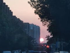 -金良酸菜鱼(宁海路总店)