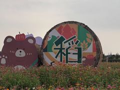 -嘉北郊野公园