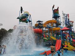 -苏州乐园森林水世界