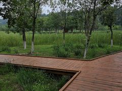 -东郊湿地公园