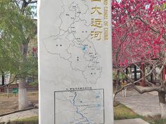-桃花堤公园