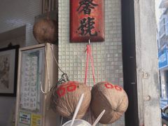 -洪馨椰子