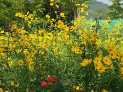 -龙口南山旅游景区