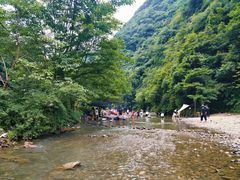 -重庆睡佛山森林公园
