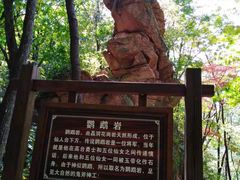-五女峰国家森林公园