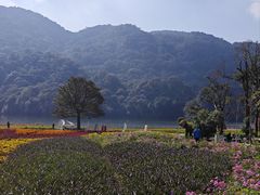 -广州市石门国家森林公园