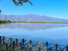 -野鸭湖国家湿地公园