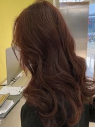 -IP SALON